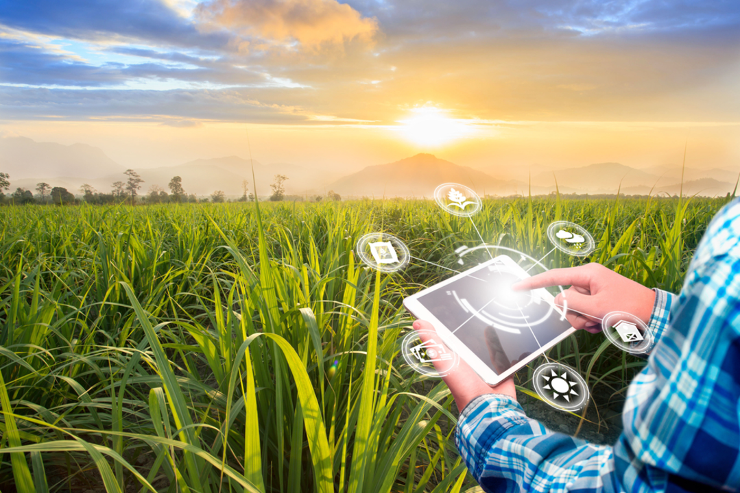 Why do we need smart agriculture?