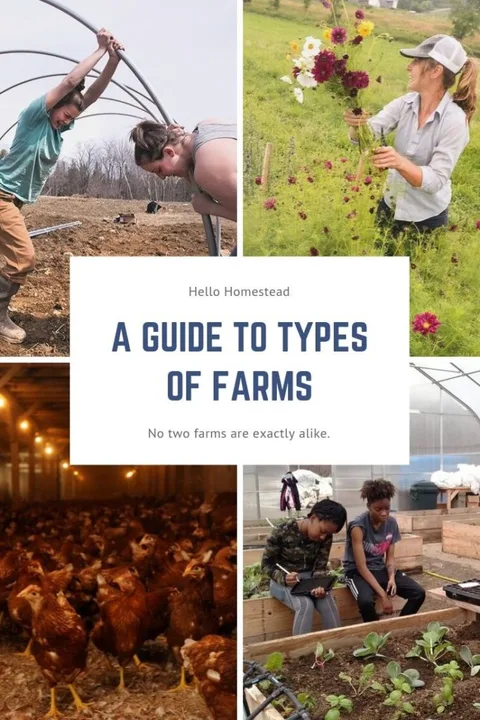 What are the different kinds of farming?
