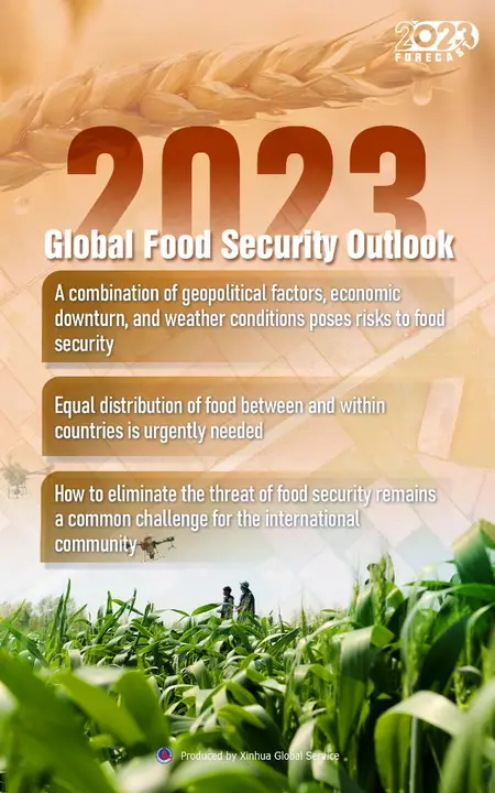 What is global food security in terms of feeding the world?