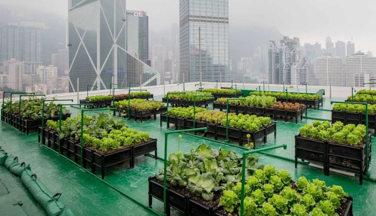 Why is urban agriculture sustainable?